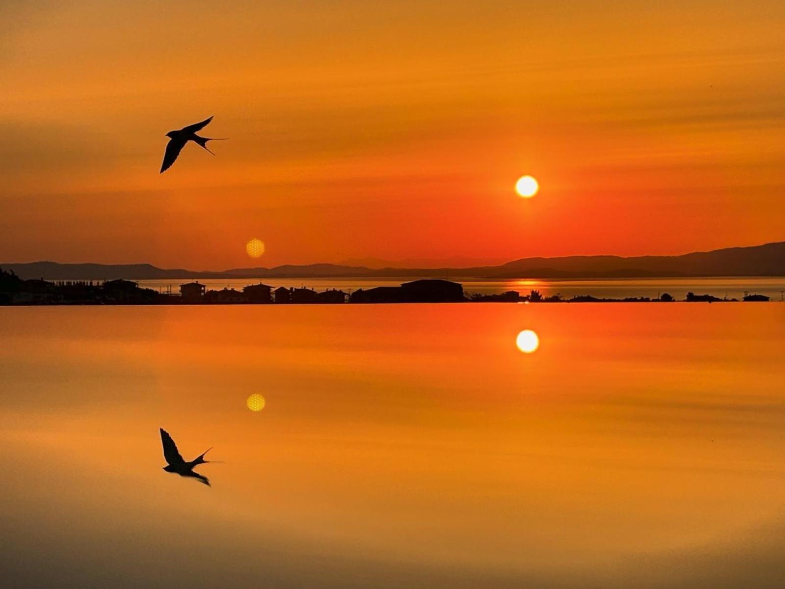 St Nikola Panoramic Suites Halkidiki Ájos Nikólaos Eksteriør bilde